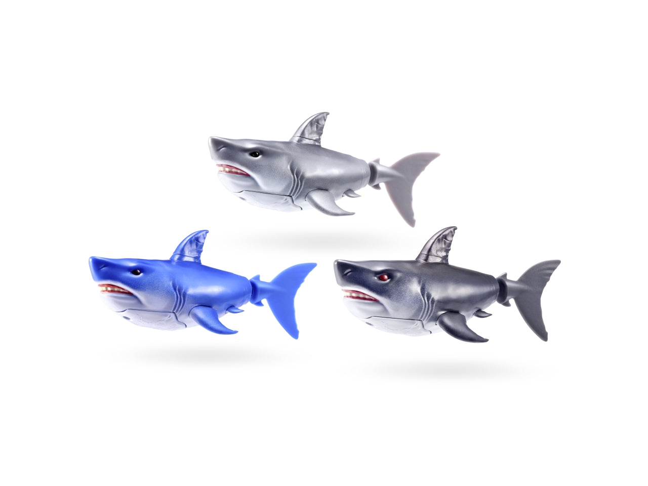 Roba alive scqualo nuotatore