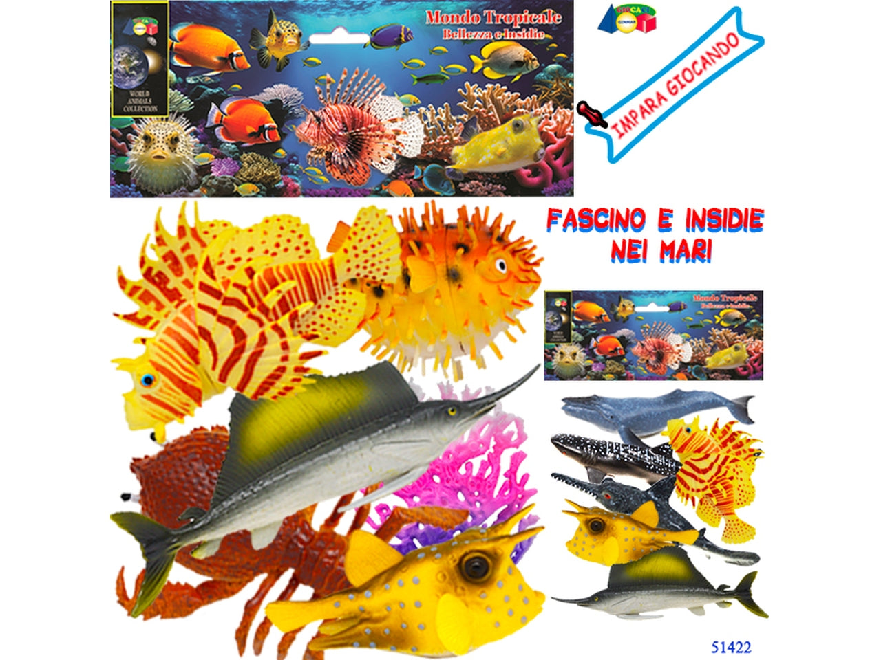 Pesci mondo tropicale assortiti