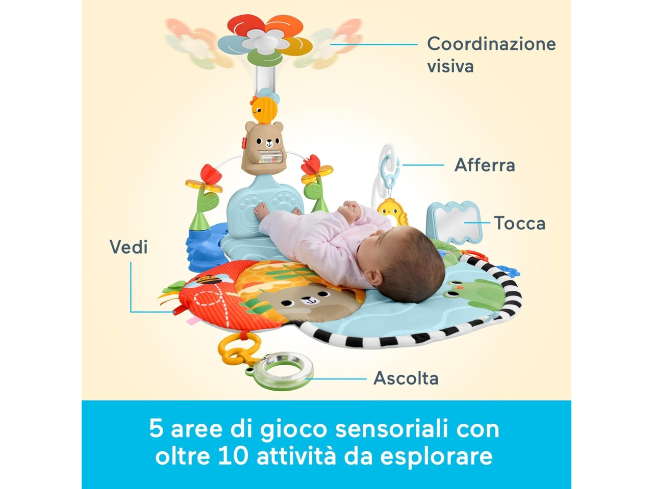 Fisher-price palestrina baby fitness