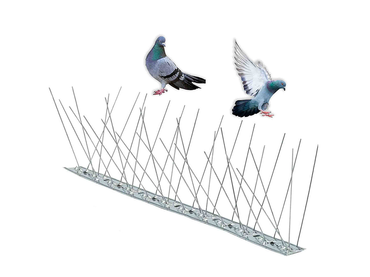 Dissuasore per uccelli 80 spilli 100cm