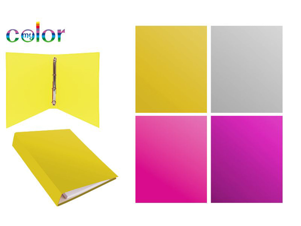 Raccoglitore con 4 anelli metal assortito