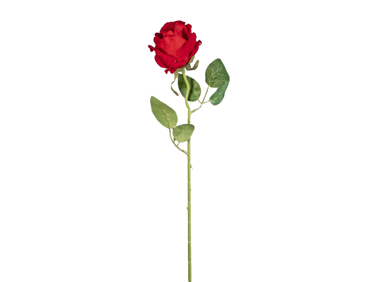 Rosa velvet amour rossa 50cm