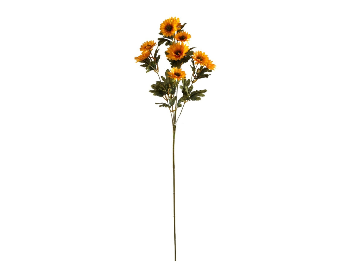Margherita ramo con 10 fiori giallo