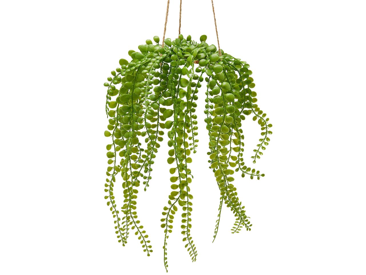 Dischidia cadente da appendere h.35xd.13cm