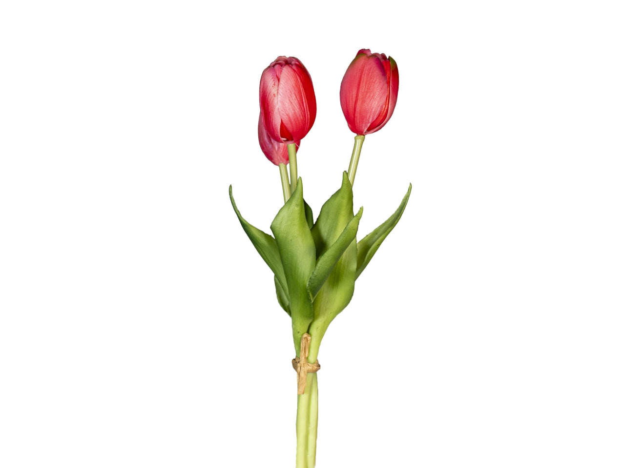Mazzetto corto tulipani con 2 fiori e 1 bocciolo rosa scuro