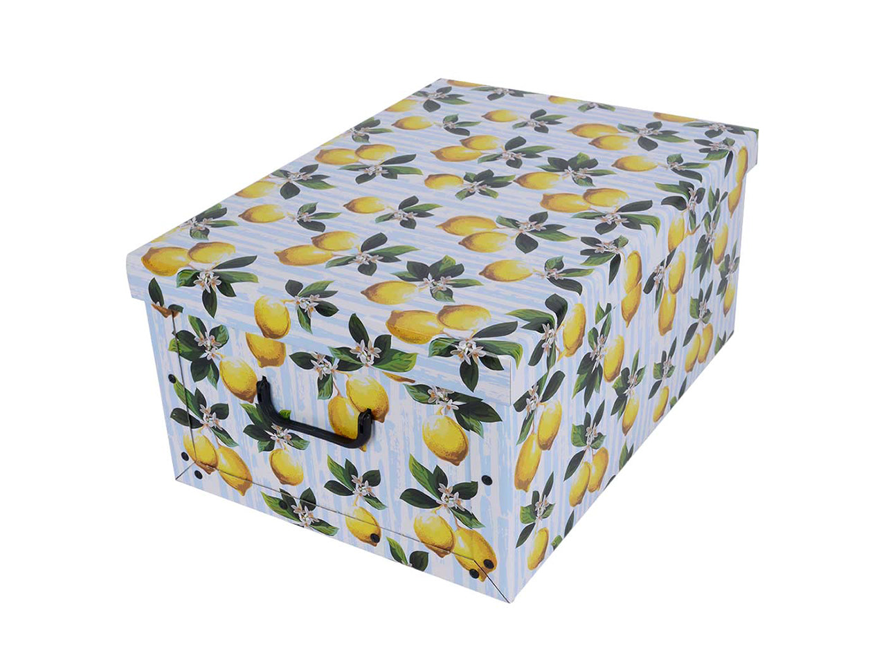 Bauletto maxi in cartone 51x37x24cm fruit lemon