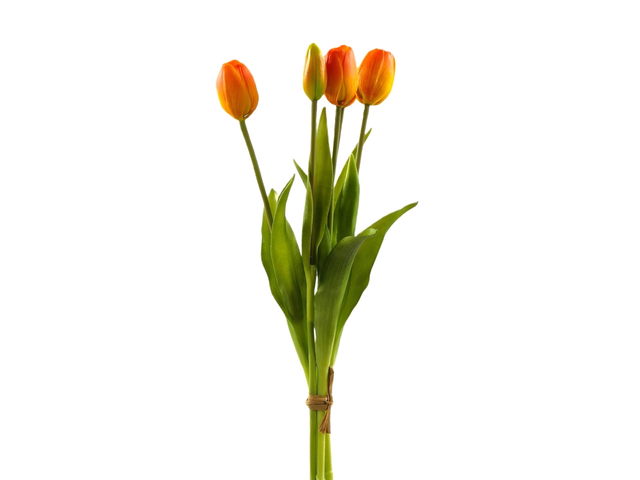 Mazzo tulipani 38cm con 5 fiori arancio