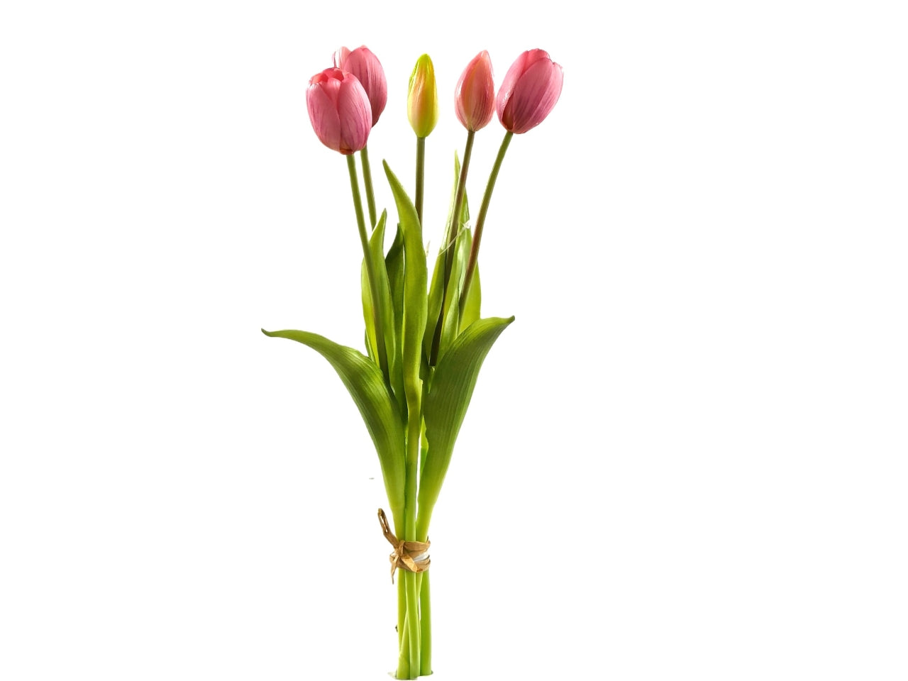 Mazzo tulipani 38cm con 5 fiori lavanda