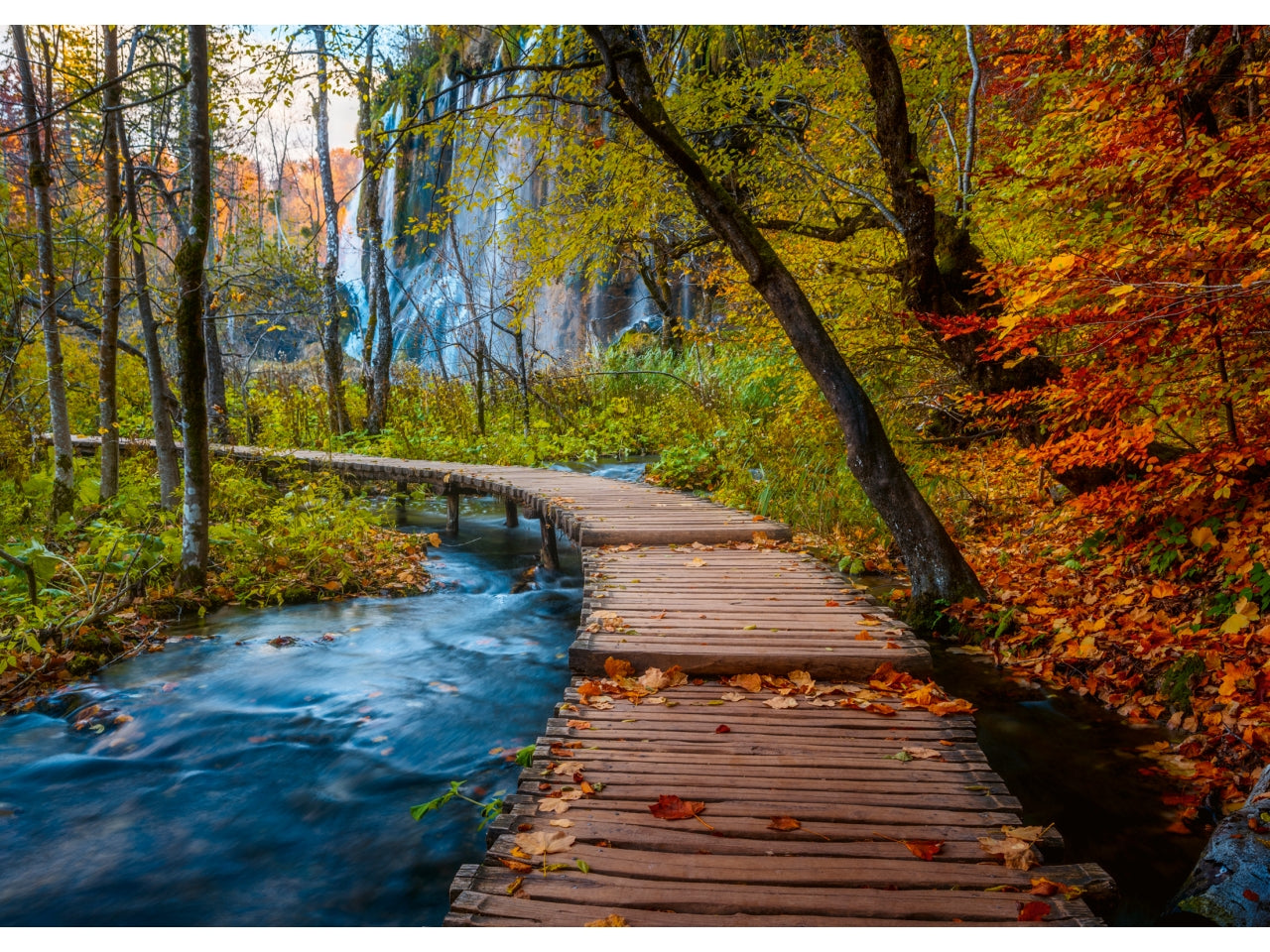 Puzzle Sentiero nel bosco autunnale 1000 pc