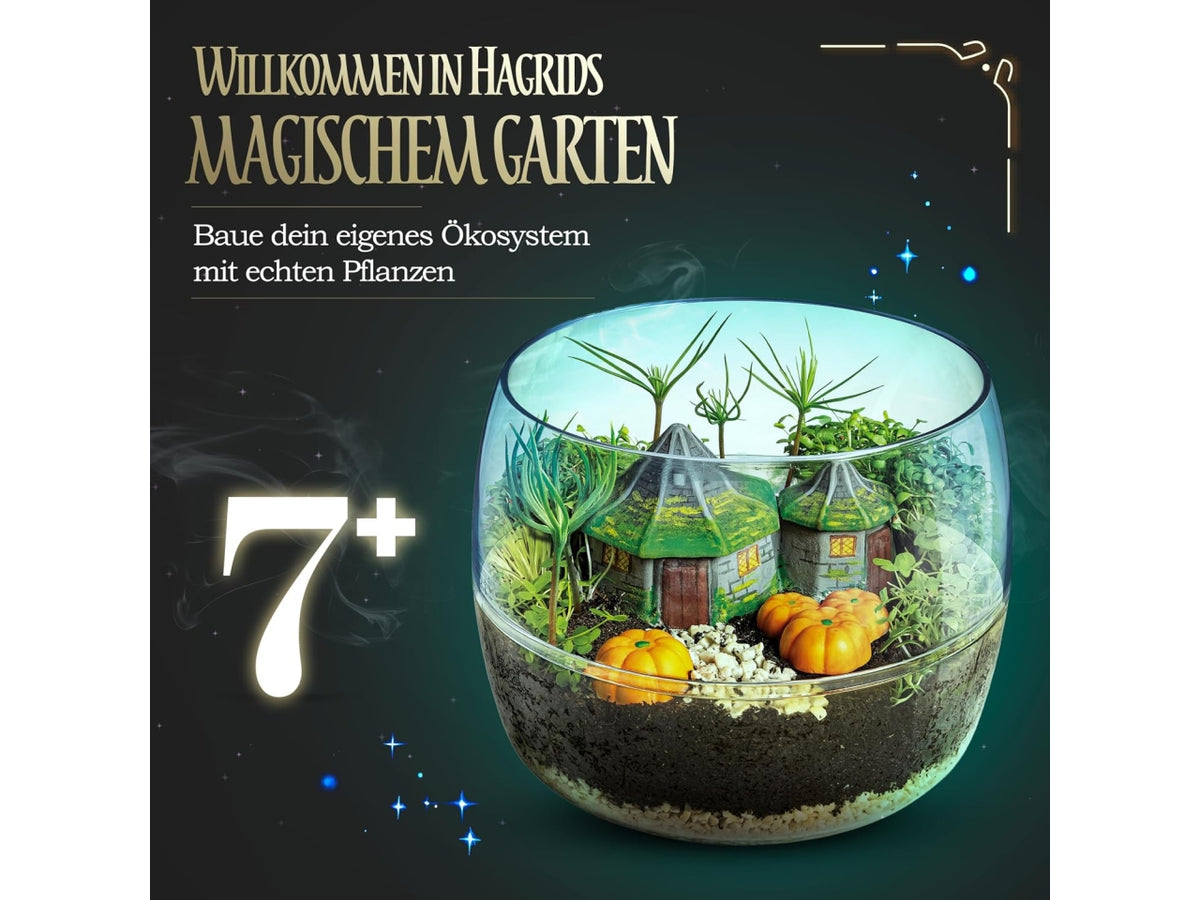 Harry potter hagrid's hut terrarium