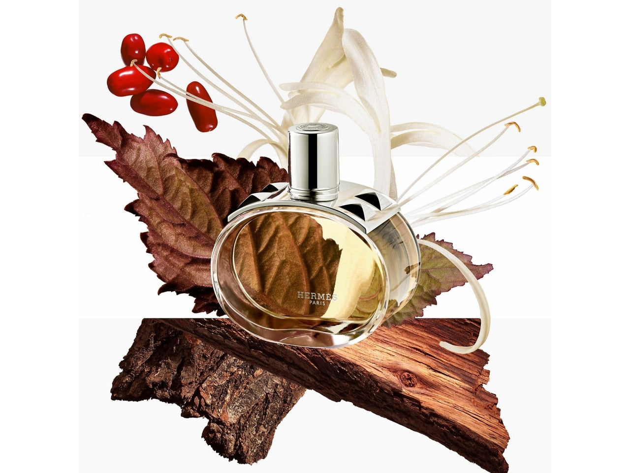 Profumo Donna Hermes Barénia Eau De Parfum 100 ml, Donna, Flacone ricaricabile, Profumo, Giglio di sego, Frutto miracoloso, Legno di quercia, Patchouli, Spray $