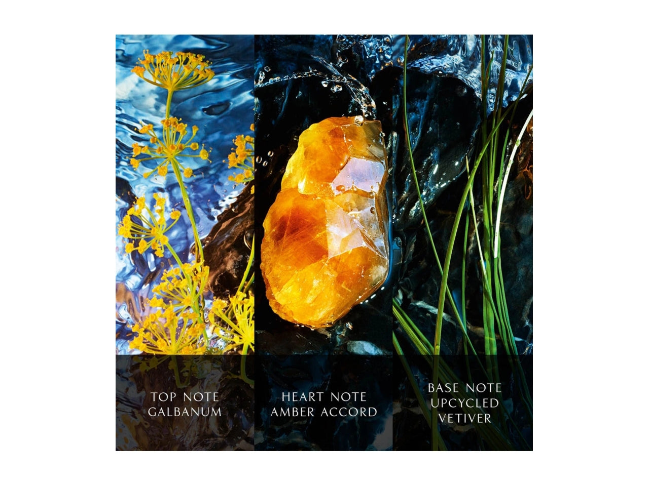 Profumo uomo Davidoff cool water reborn eau de parfum 100ml$