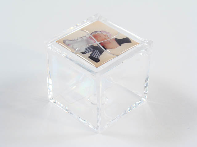 Scat.in plex con sposini sc519