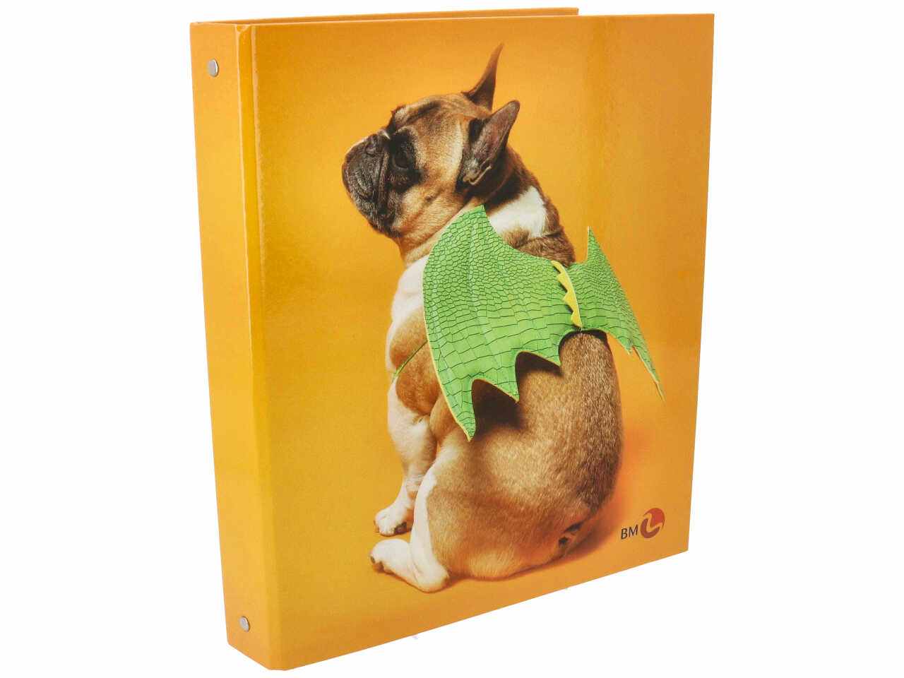 Copertina ad anelli 0120151