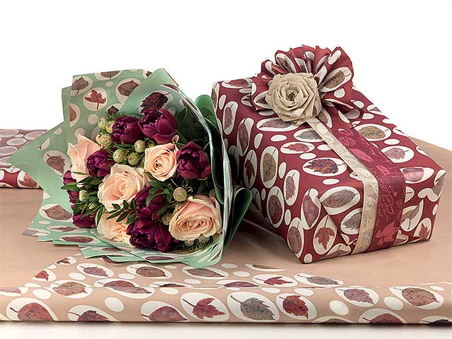 L.maple bobina 1x25mtcappuc.b-v09pm-kl2