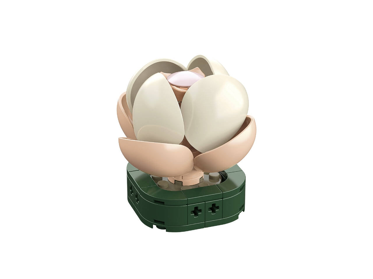 Cubix cubix piante grasse