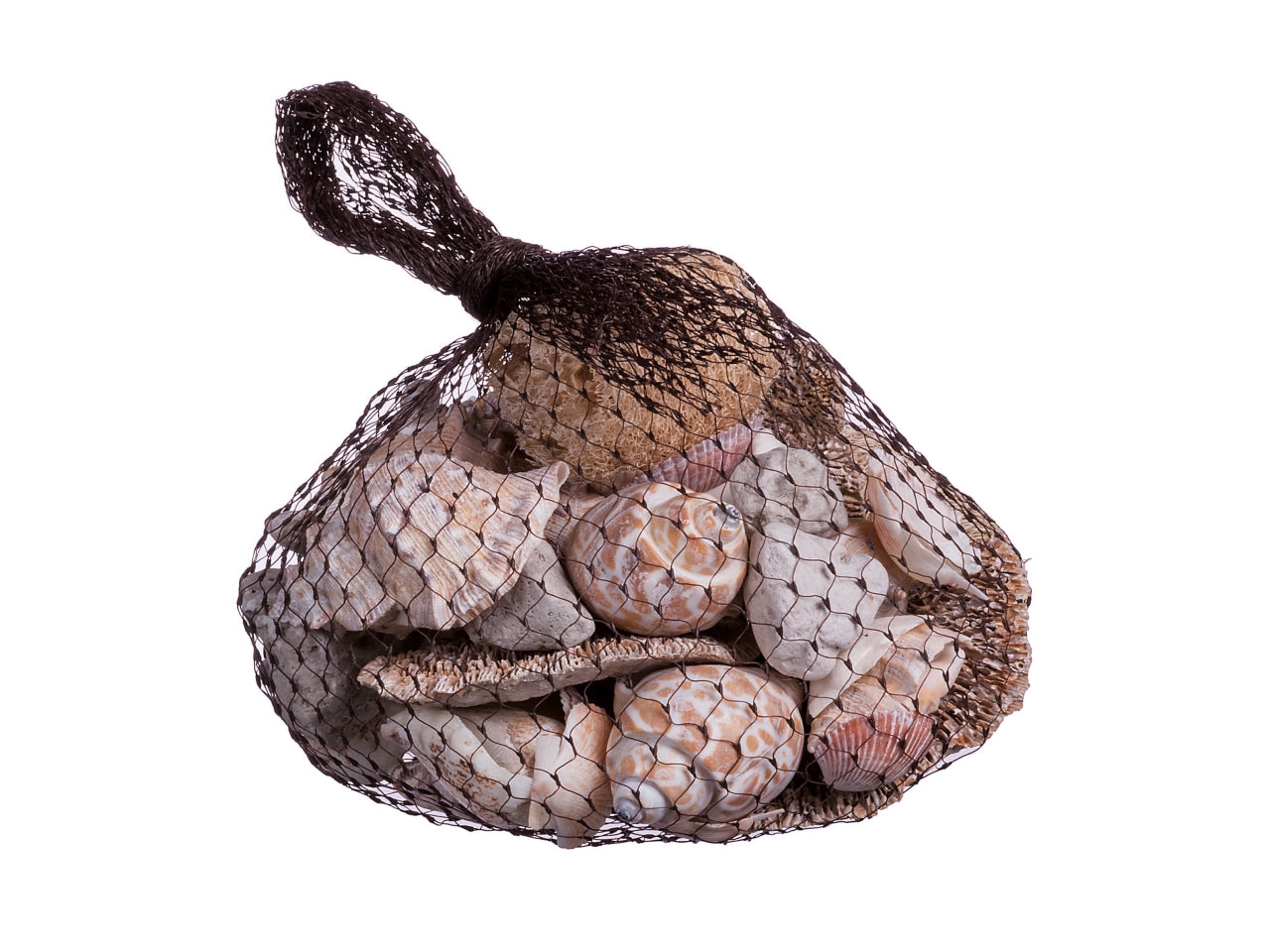 Sassi decorativi per vasi, conchiglie e spugne di mare - mix per decorazione estiva - 300g - Star