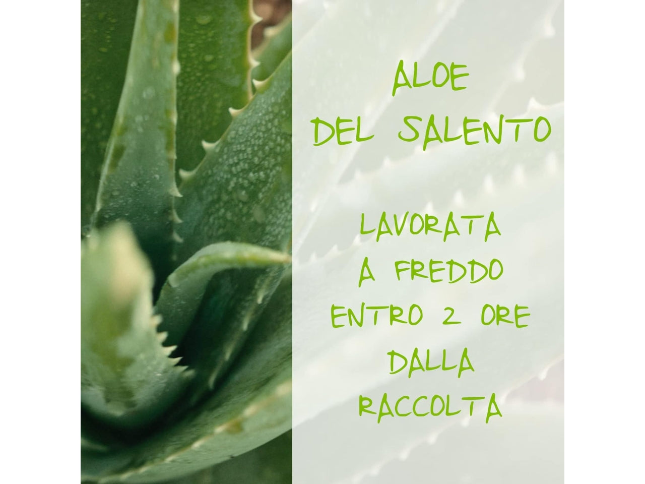 Omia maschera capelli aloe vera