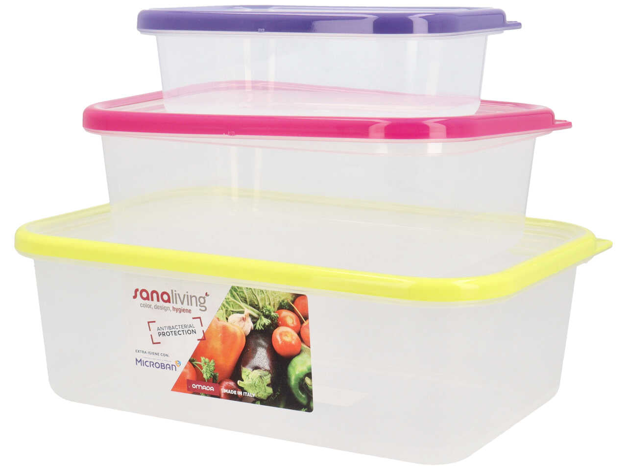 Contenitore 24x16,5x5cm 3 pezzi