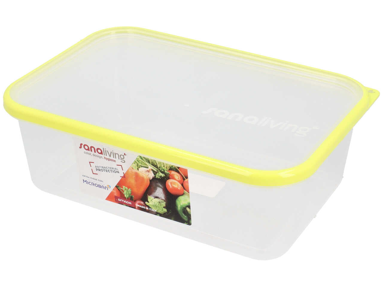 Contenitore 24x16,5x5cm 3 pezzi