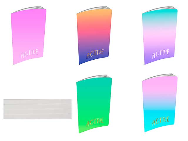 Quaderno Maxi active bicolor rigatura 1r 20 fogli 80gr - la confezione comprende 10 quaderni - assortiti