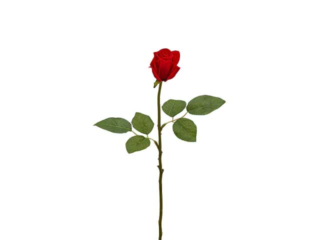 Rosa velvet 46cm 215366.40