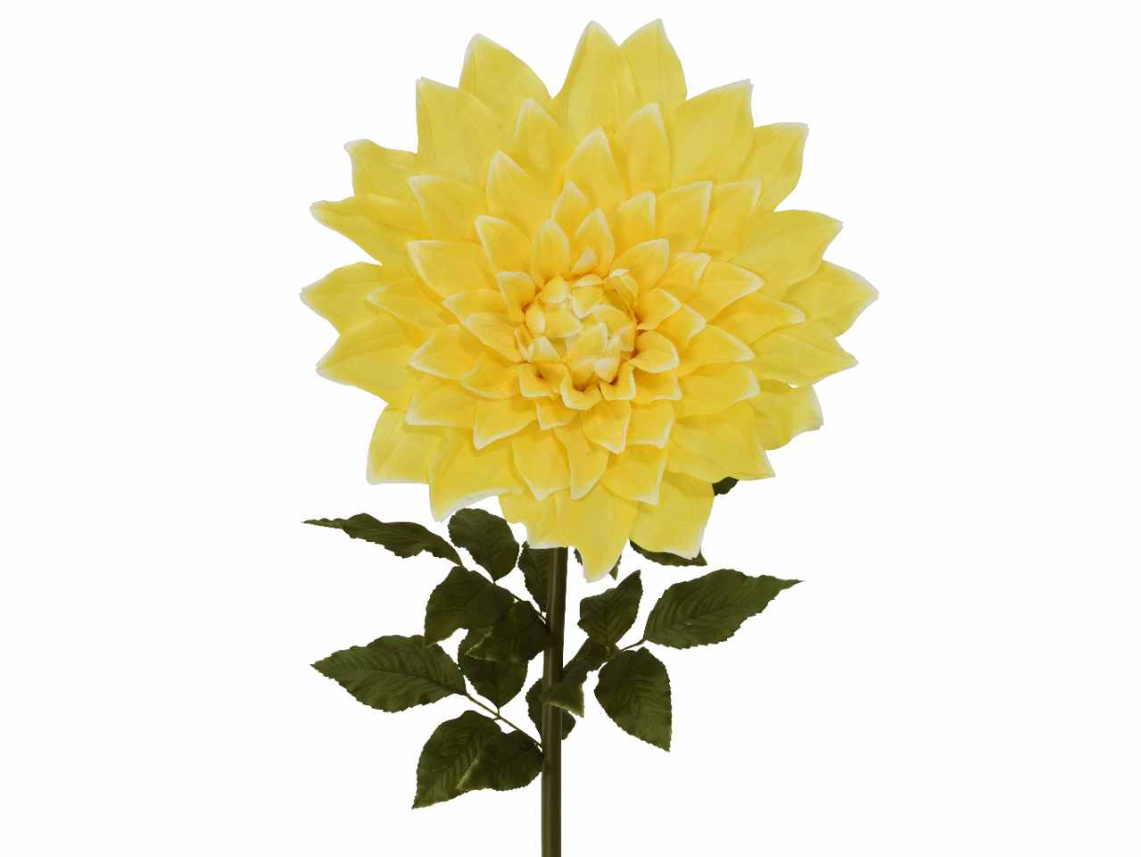 Dalia h.145cm gialla 801440