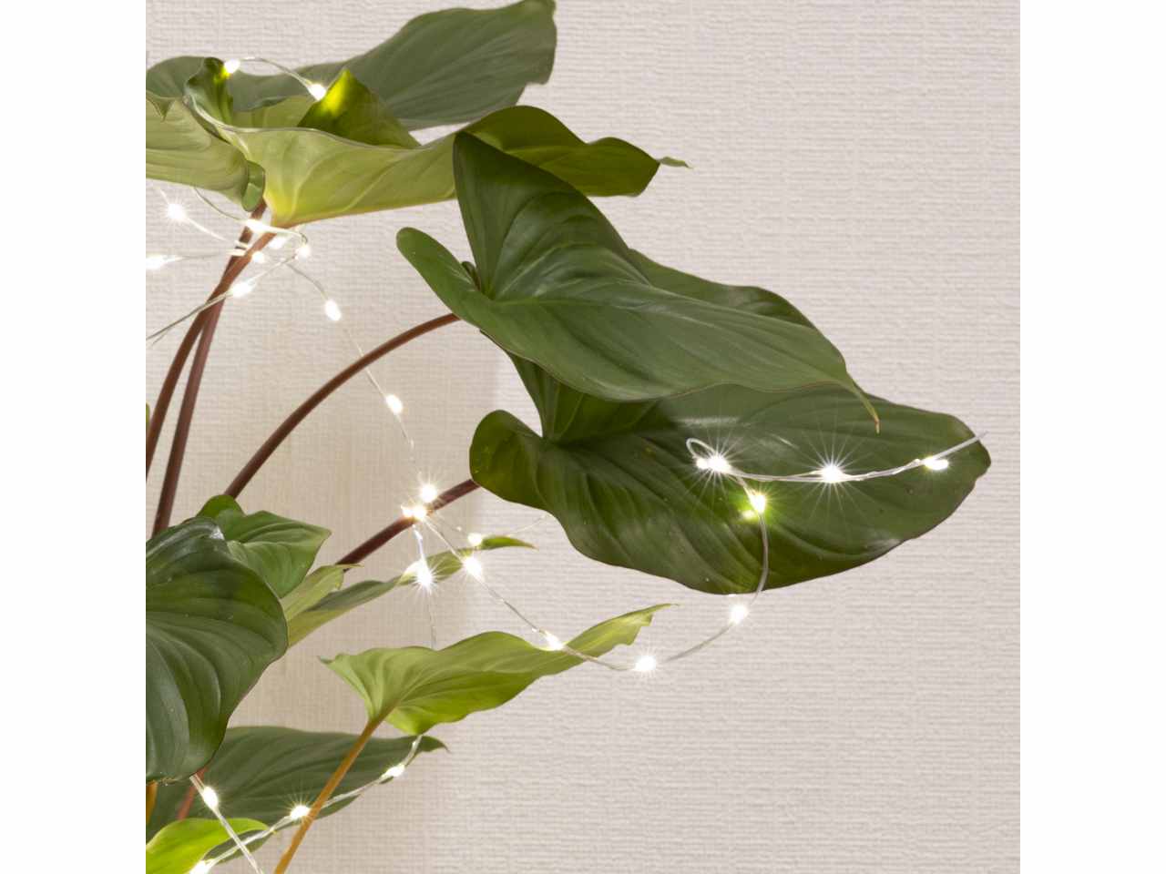 Catena luci 160microled 1metro bianco caldo uso esterno $