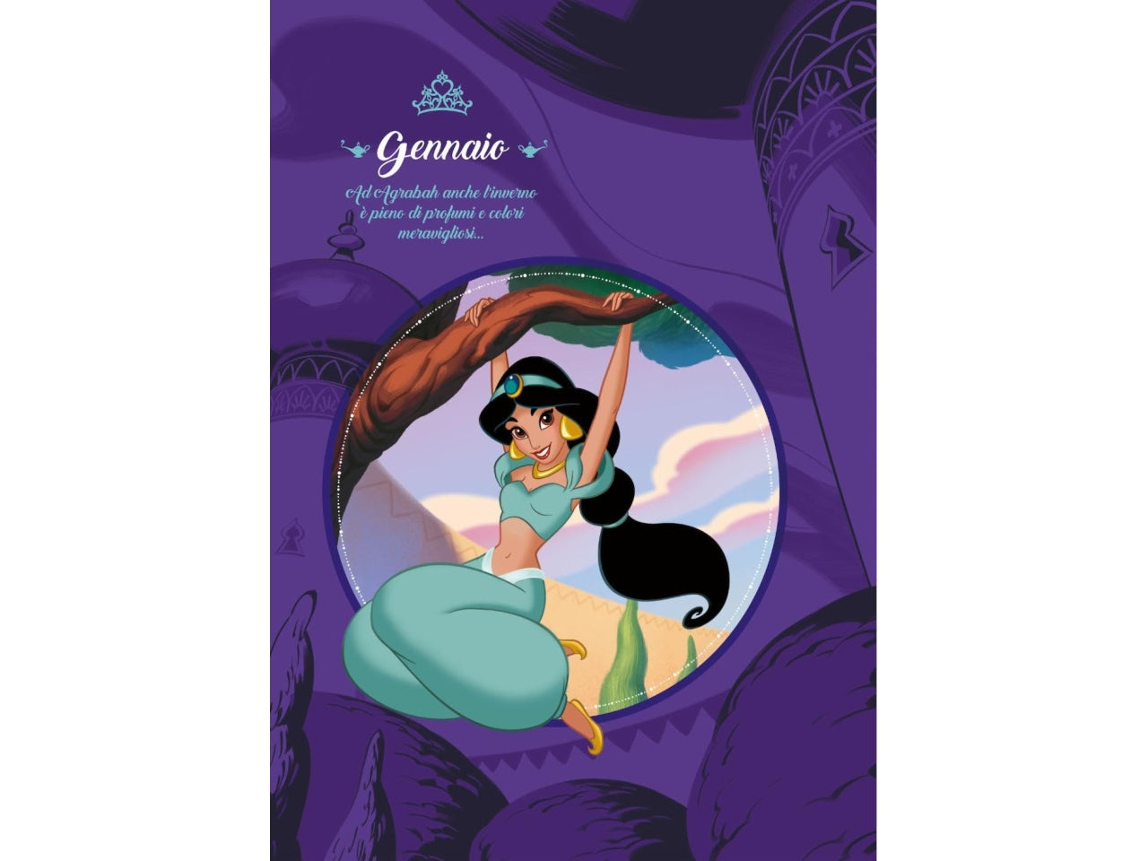 Libro 12 principesse con storie senza tempo