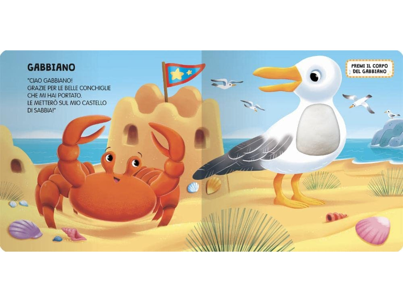 Libro animali del mare