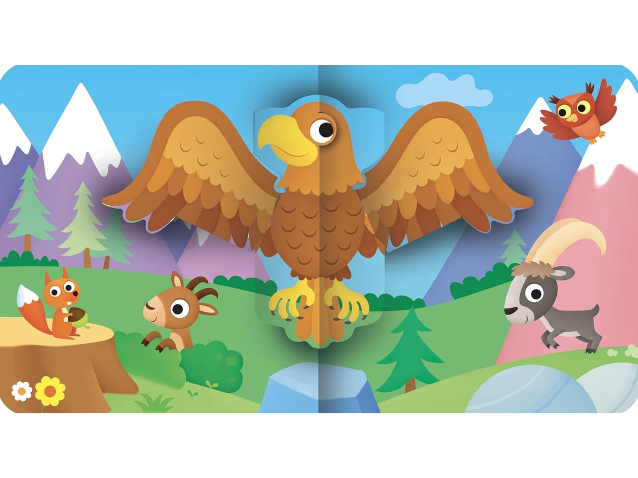 Libro animali del mondo