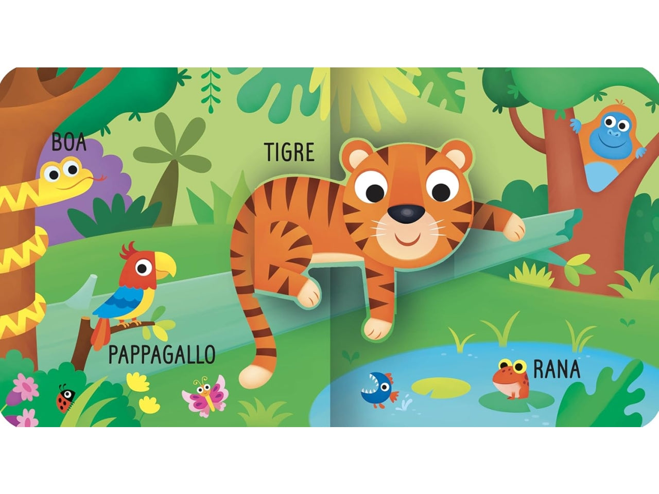 Libro animali del mondo