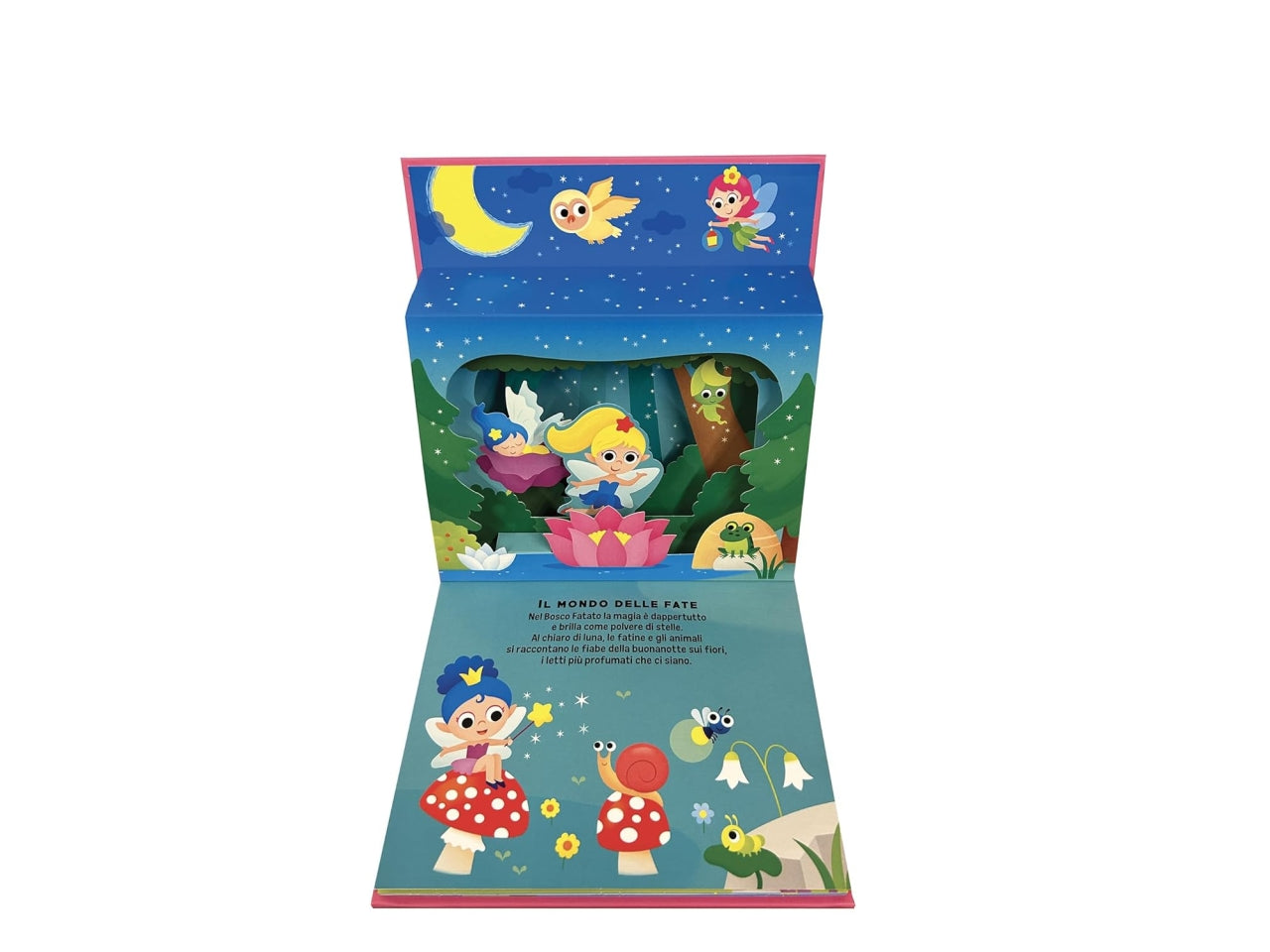 Libro mondi magici pop-up 3d