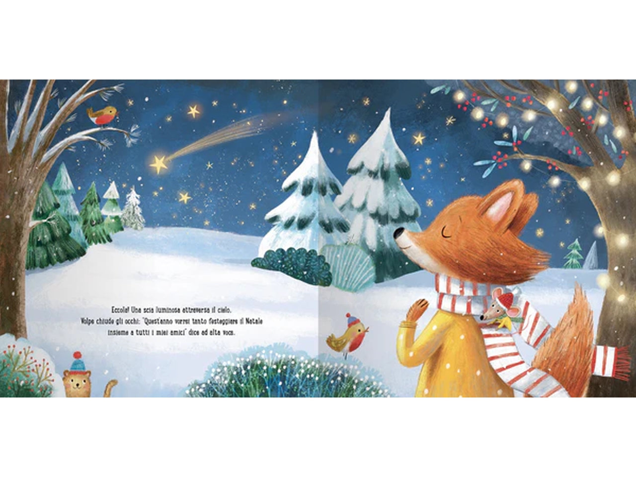 Libro tutto quello che desidero per natale