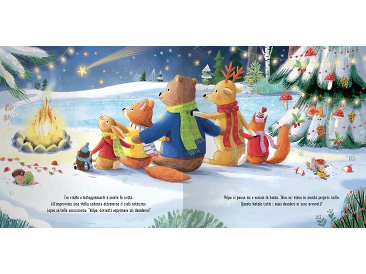 Libro tutto quello che desidero per natale