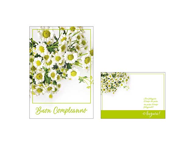 biglietto di buon compleanno con margherite bianco-verde