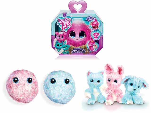 Batuffoli cerca casa 20287764 $