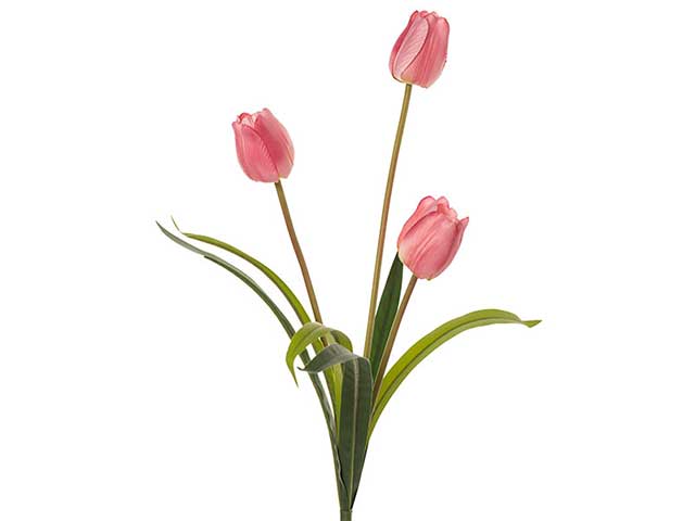 ramo con tulipani x3 h.50cm rosa