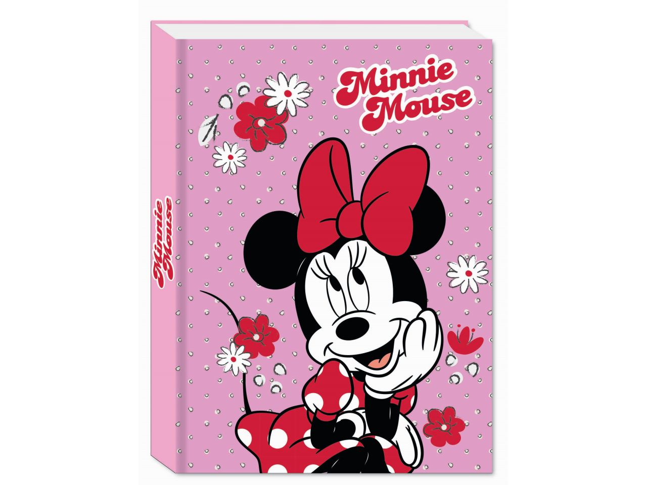 Minnie diario agenda 10 mesi