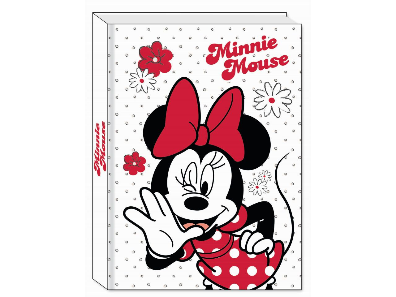 Minnie diario agenda 10 mesi