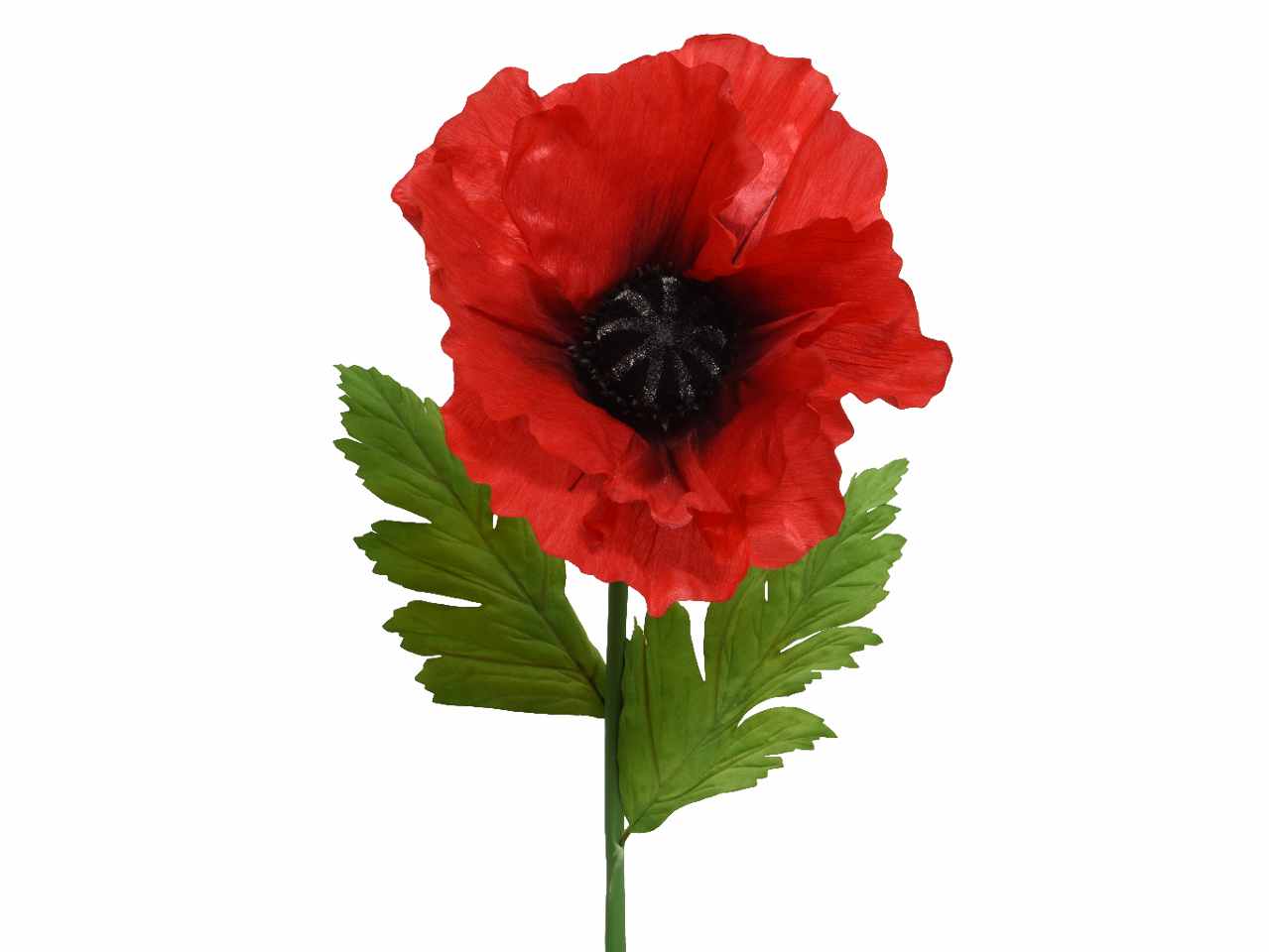Papavero h.115cm 804986