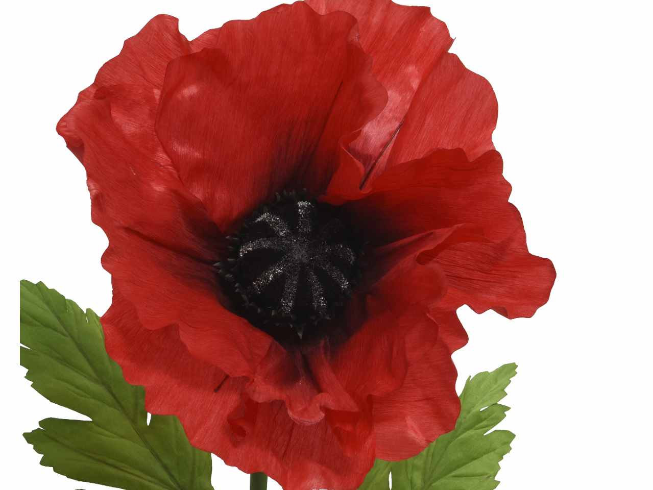 Papavero h.115cm 804986
