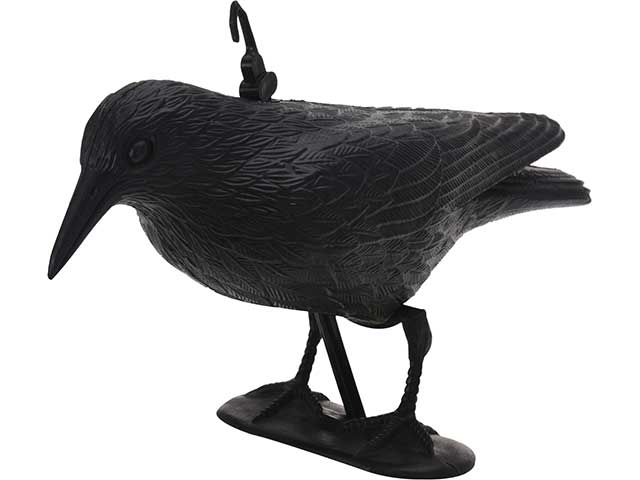 Corvo nero 35x19x13cm 836360400