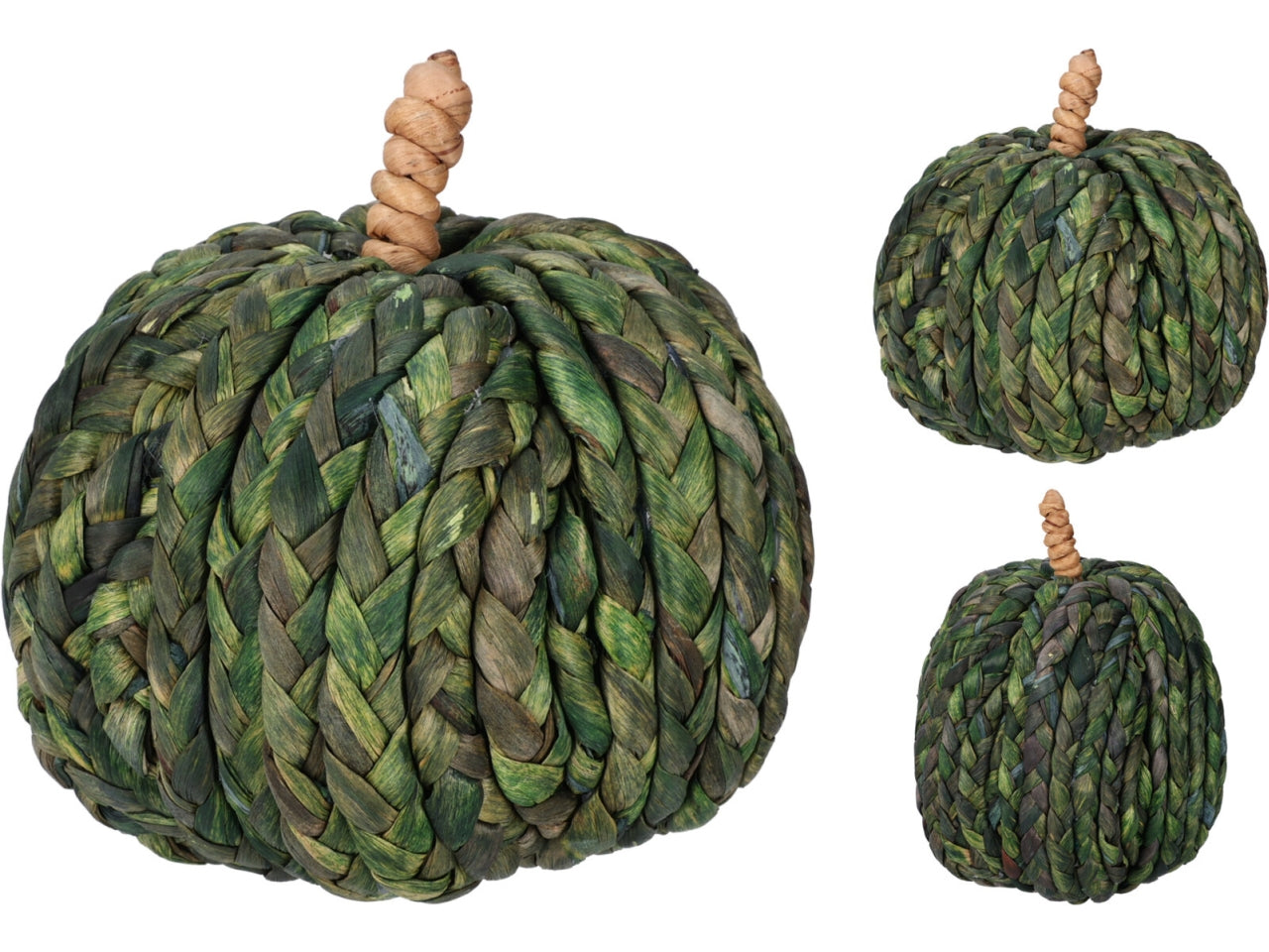 Zucca verde 15cm in 2 assortimenti