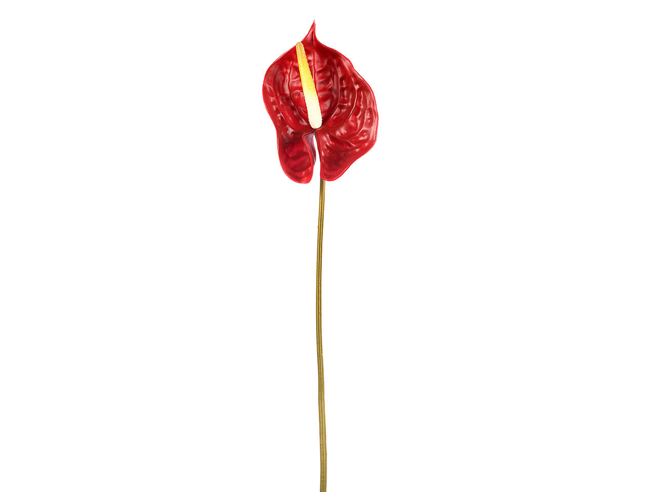 Fiore di anthurium misura 70cm colore rosso