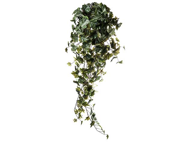 Edera 244 foglie 96cm verde a01545