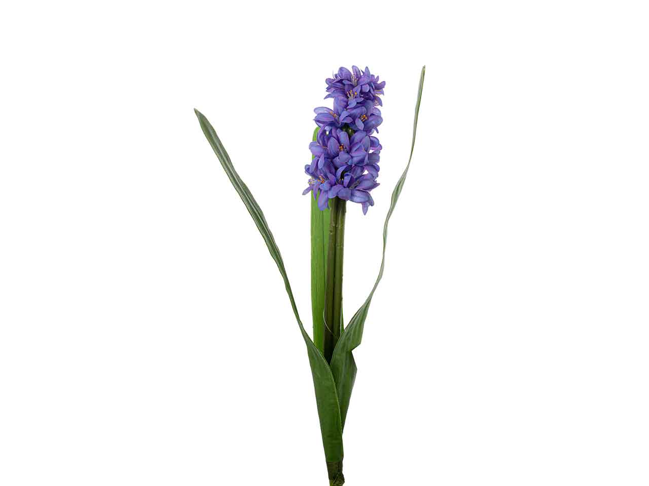Giacinto singolo 45cm viola a26402