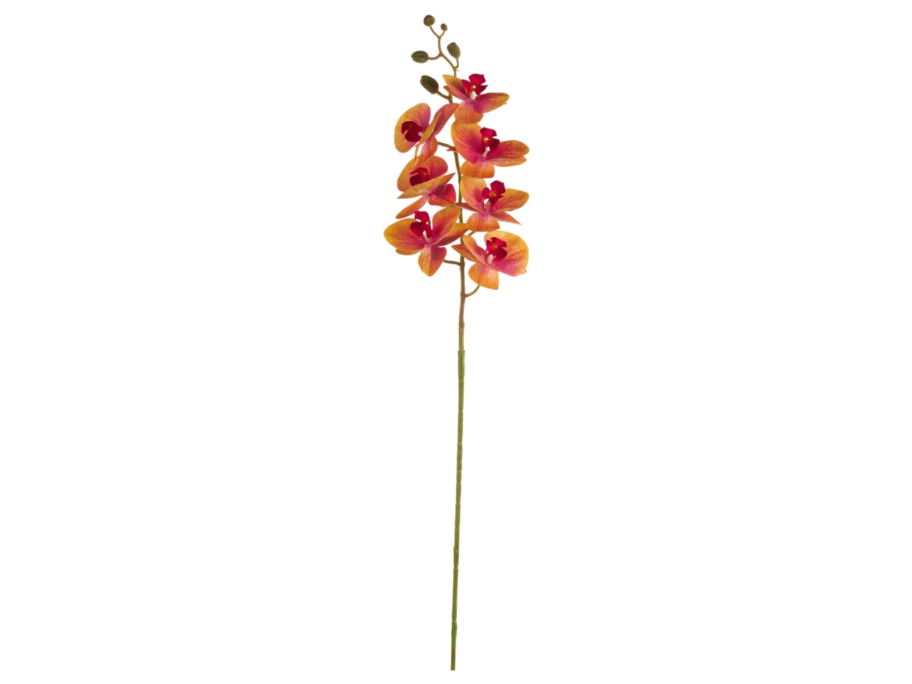 Orchidea sfumata pesco artificiale, ramo con 7 fiori, 105 cm - Arpimex