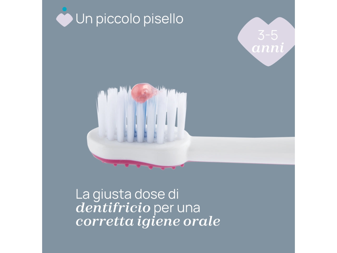 Spazzolino Hippo Oral Care Chicco con setole ultra sottili e impugnatura ergonomica rosa, 3-6 anni