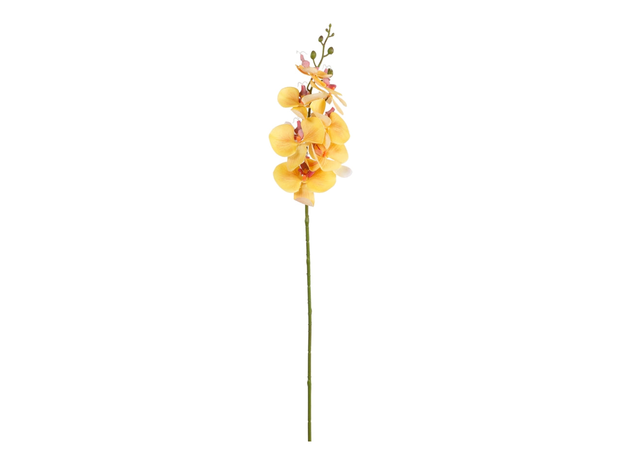 Ramo di phalaenopsis 85cm giallo